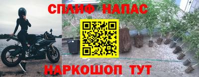 каннабис Шебекино