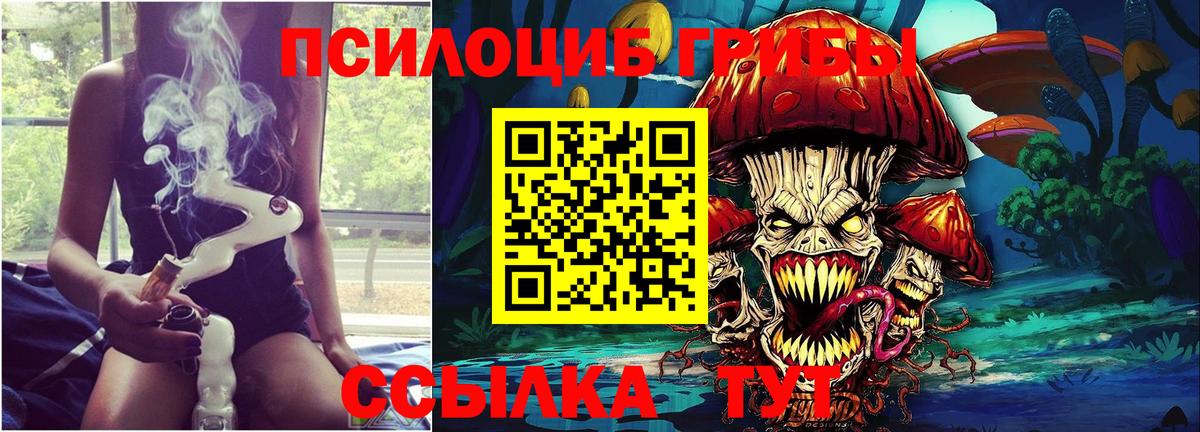 Псилоцибиновые грибы Magic Shrooms Борзя